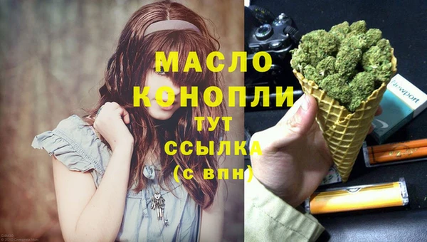 соль ск Надым