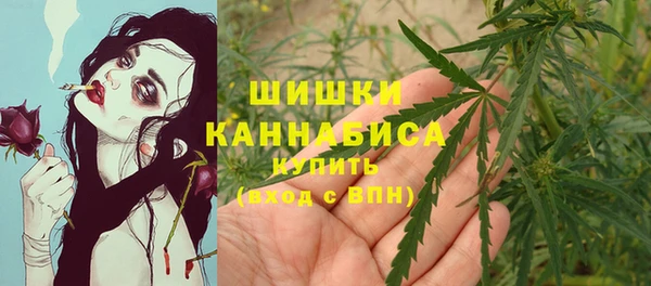 соль ск Надым