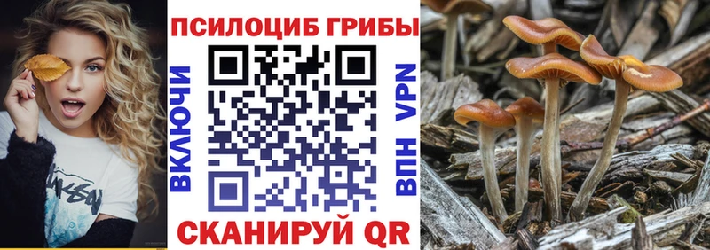 Галлюциногенные грибы мицелий купить цена Ленинградская